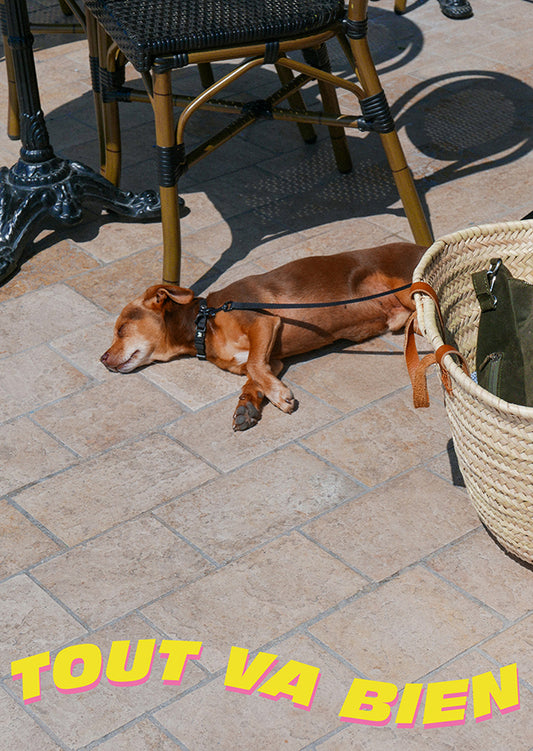 Carte postale "Tout va bien"